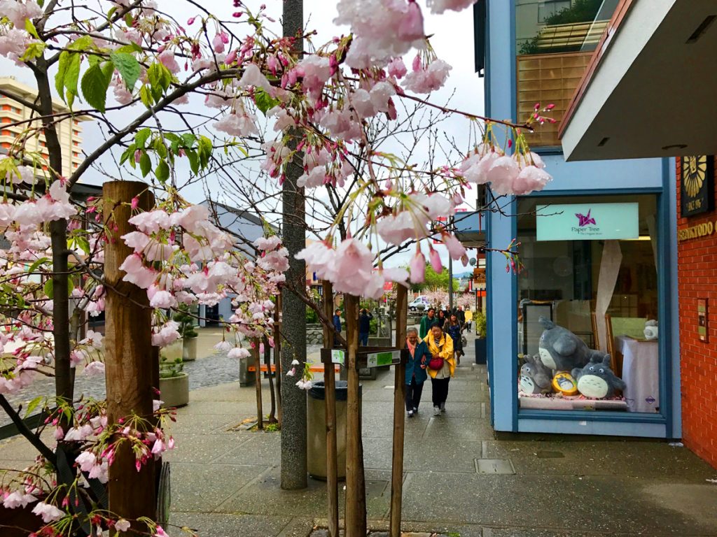 Paper Tree is located at 1743 Buchanan in Japantown. 